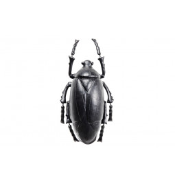 Wall decoration Plant Beetle Matt Black, 26x14.5x8cm