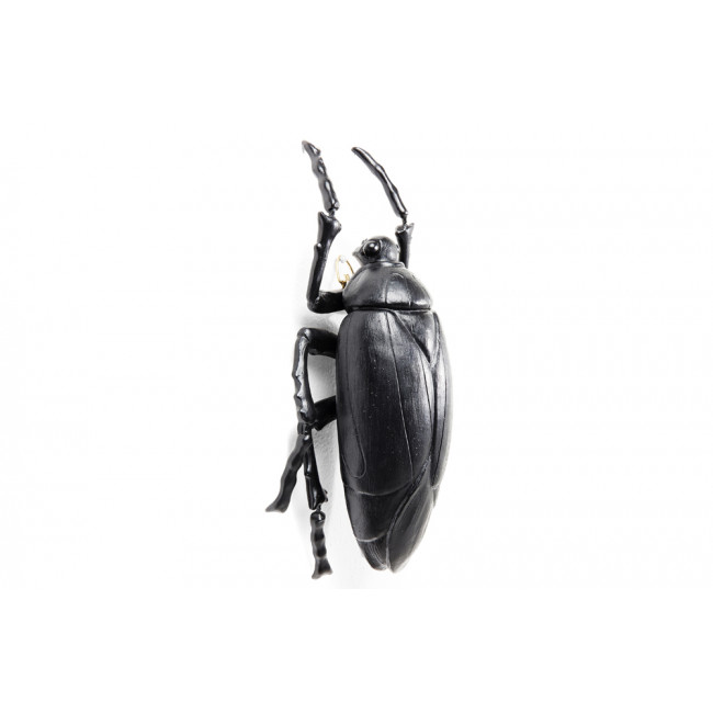 Wall decoration Plant Beetle Matt Black, 26x14.5x8cm