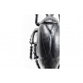 Wall decoration Plant Beetle Matt Black, 26x14.5x8cm