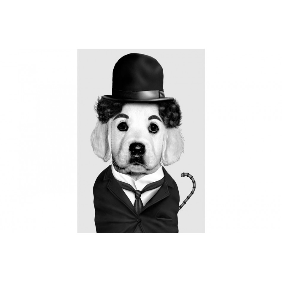 Picture Charlie Chaplin Dog, 60x80cm