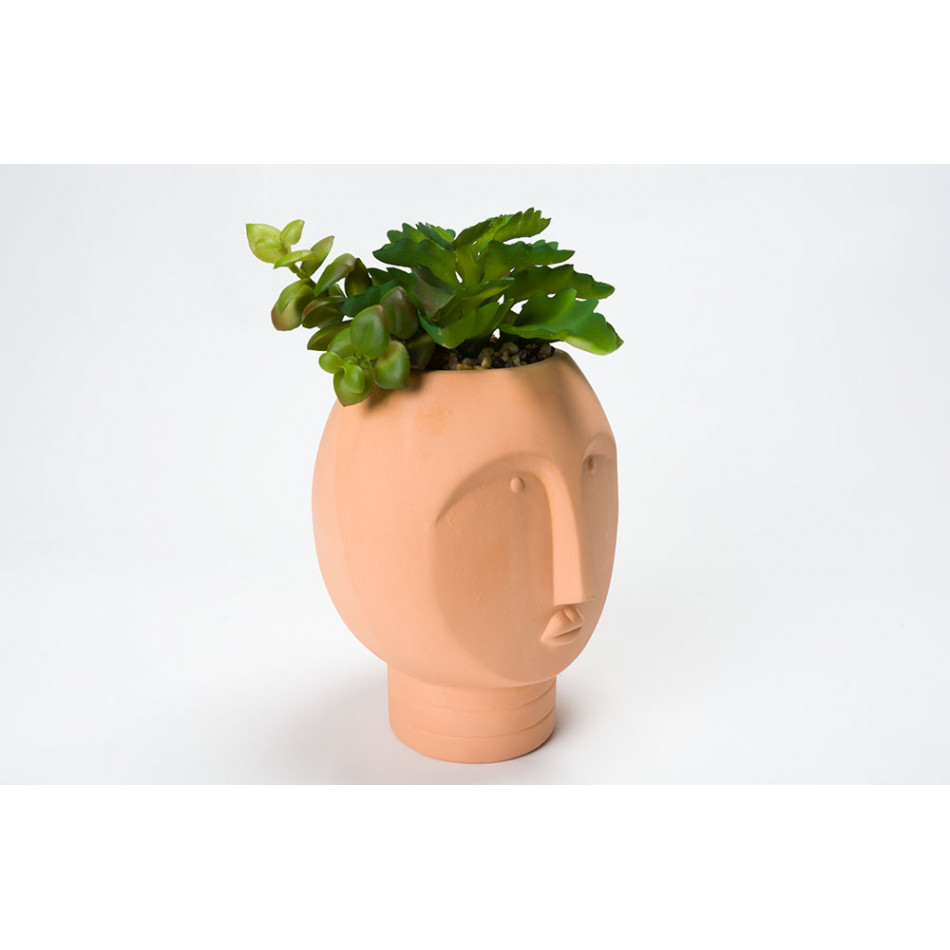 Декоративное растение в горшке Face, 12x11.5x18.5cm