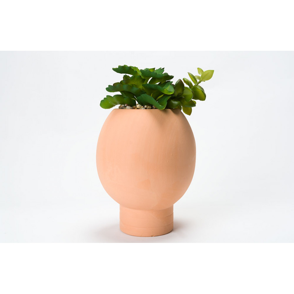 Декоративное растение в горшке Face, 12x11.5x18.5cm