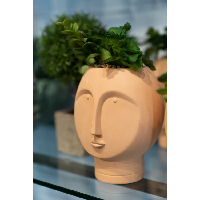 Декоративное растение в горшке Face, 12x11.5x18.5cm