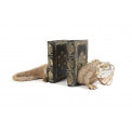 Bookend Iguana set of 2, 35x12x18cm