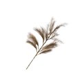 Decorative plant Meskantus DK.BR, 124cm