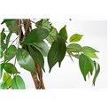 Artificial ficus in pot, H180cm