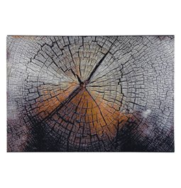 Carpet Rocas Goplan 0273/Q03/X, 140x200cm