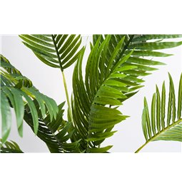 Dirbtinis augalas PALM, H170cm