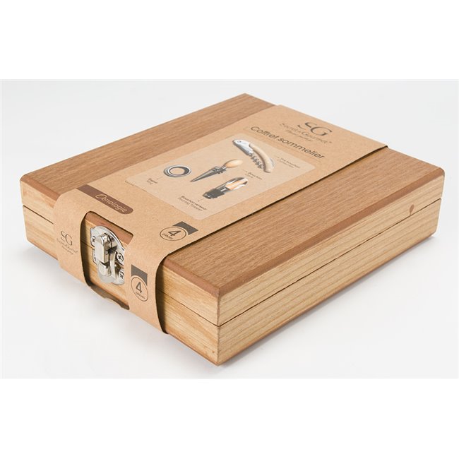 Wine accessories set Sommelier, set of 4