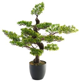 Artificial tree with pot Bonsai, H80x80x54cm