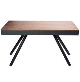 Компьютерный стол Turina выдвижным ящиком, шпон ореха, 120x55x75.5cm