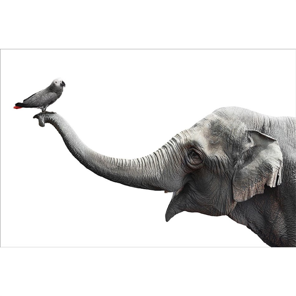 Wall glass art Friends,  60x90x0.4cm