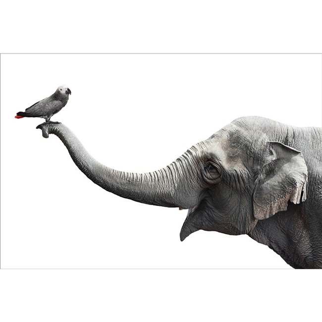 Wall glass art Friends,  60x90x0.4cm