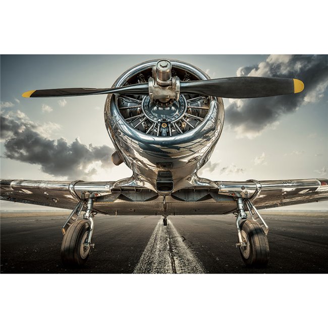 Wall glass art Spitfire, 80x120x0.4cm