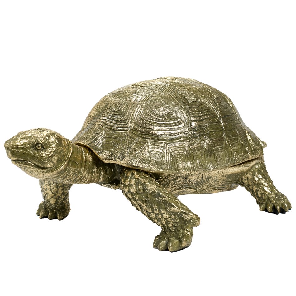 Jewelry box Tortoise, 24x34x15.5cm