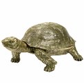 Jewelry box Tortoise, 24x34x15.5cm