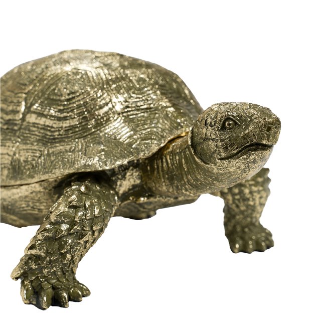 Jewelry box Tortoise, 24x34x15.5cm