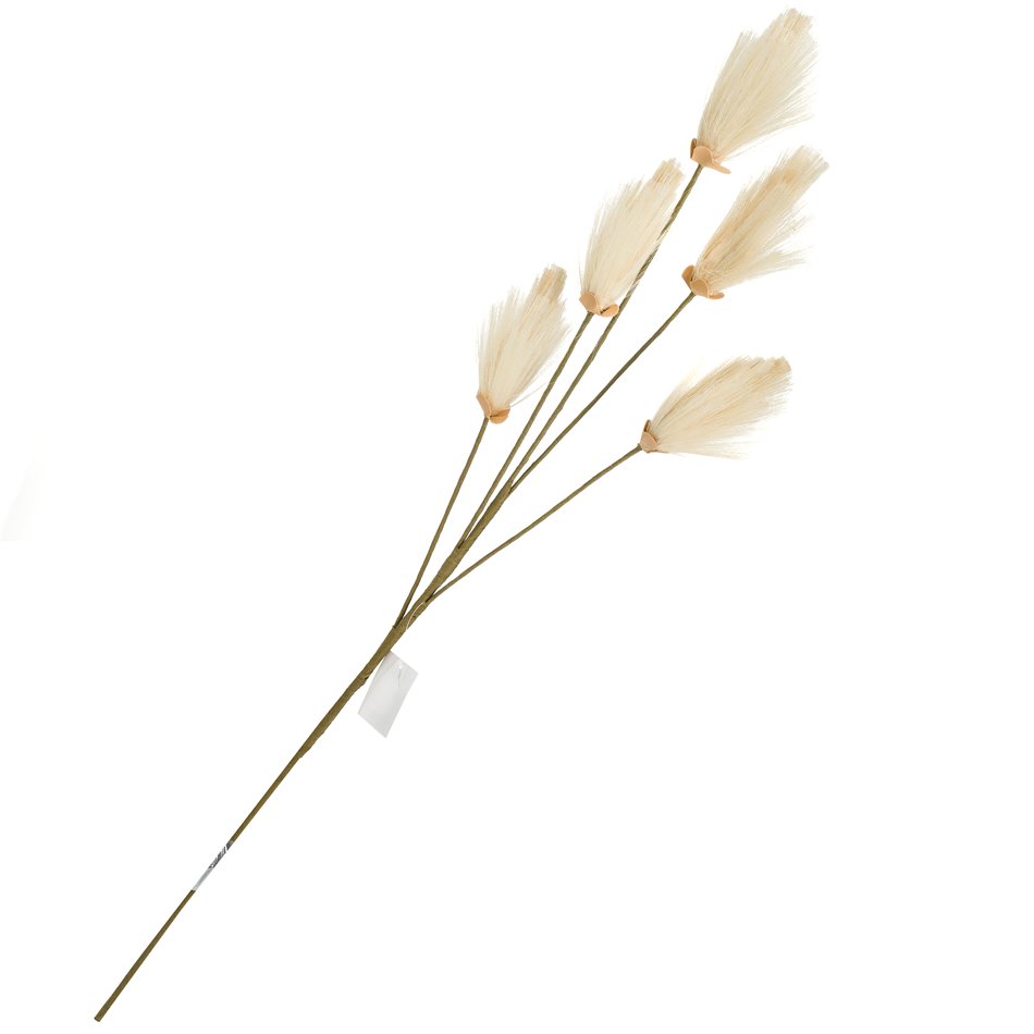 Dust Broom Natural, H102cm