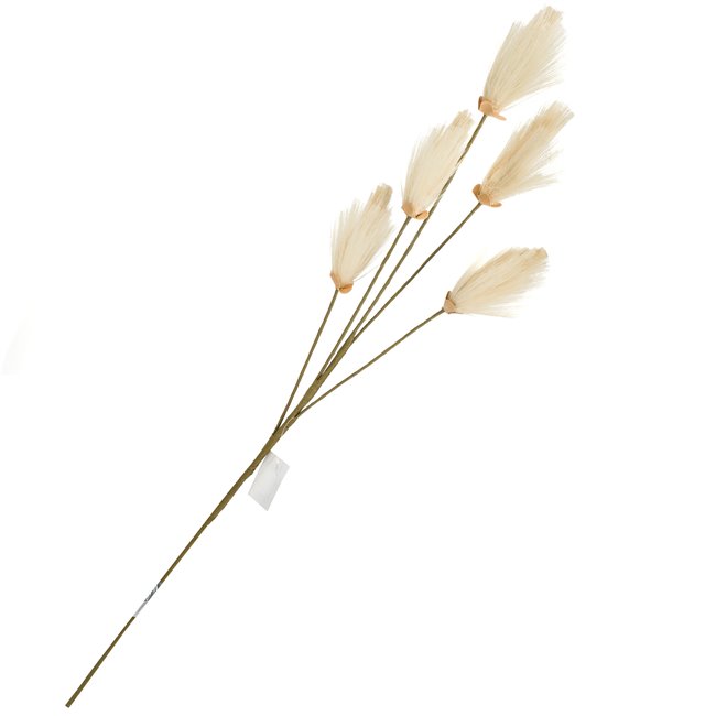 Dust Broom Natural, H102cm