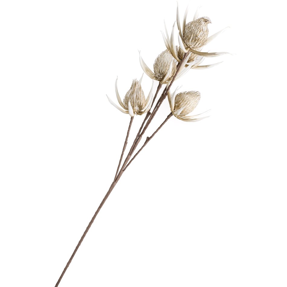 Branch Arenarija Cream, H105cm