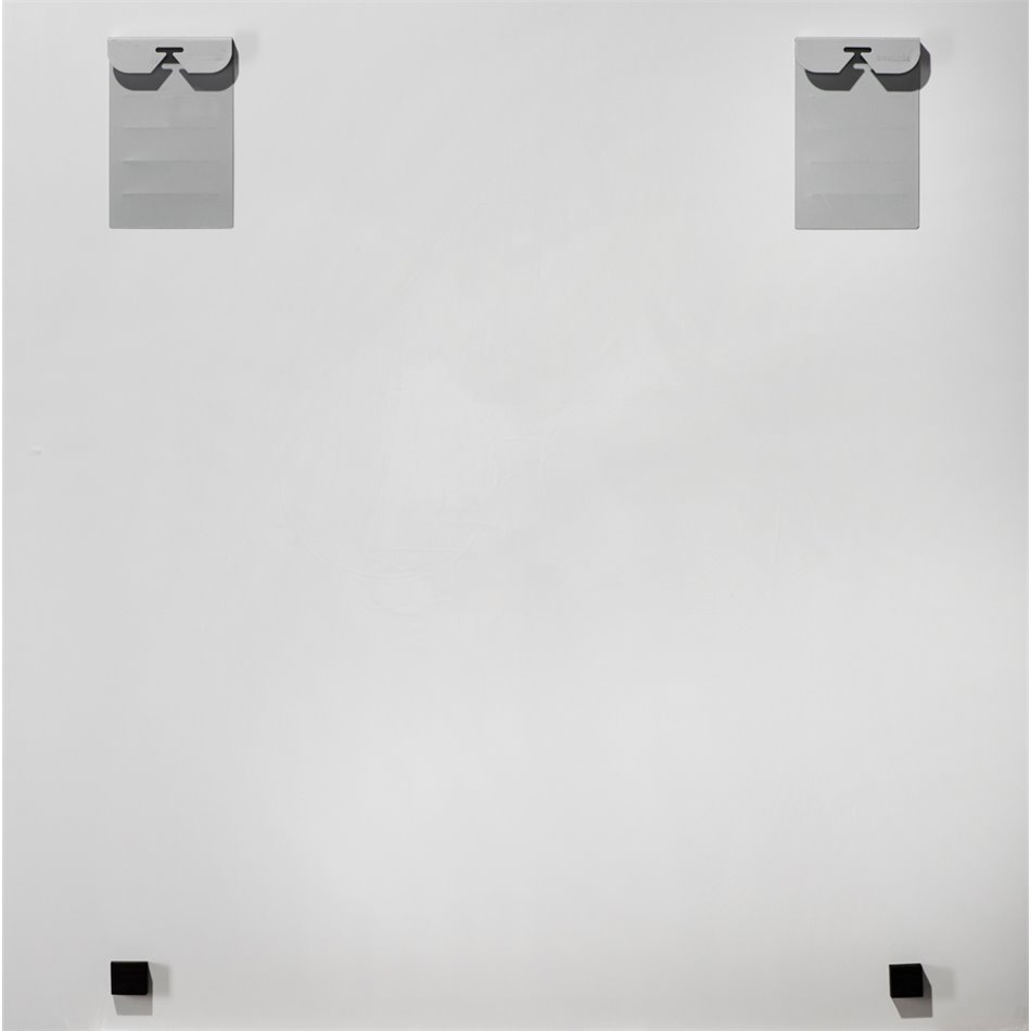 Digitalprint on safety glass Colourful veiltails, 100x100cm