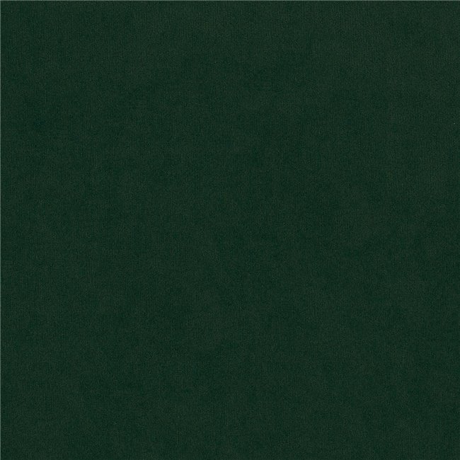 Sofa bed Eliso, Riviera 38, green, H83x220x90cm