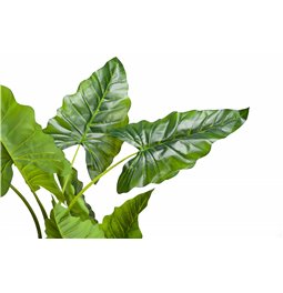 Dirbtinis augalas vazone BANANA, H120cm