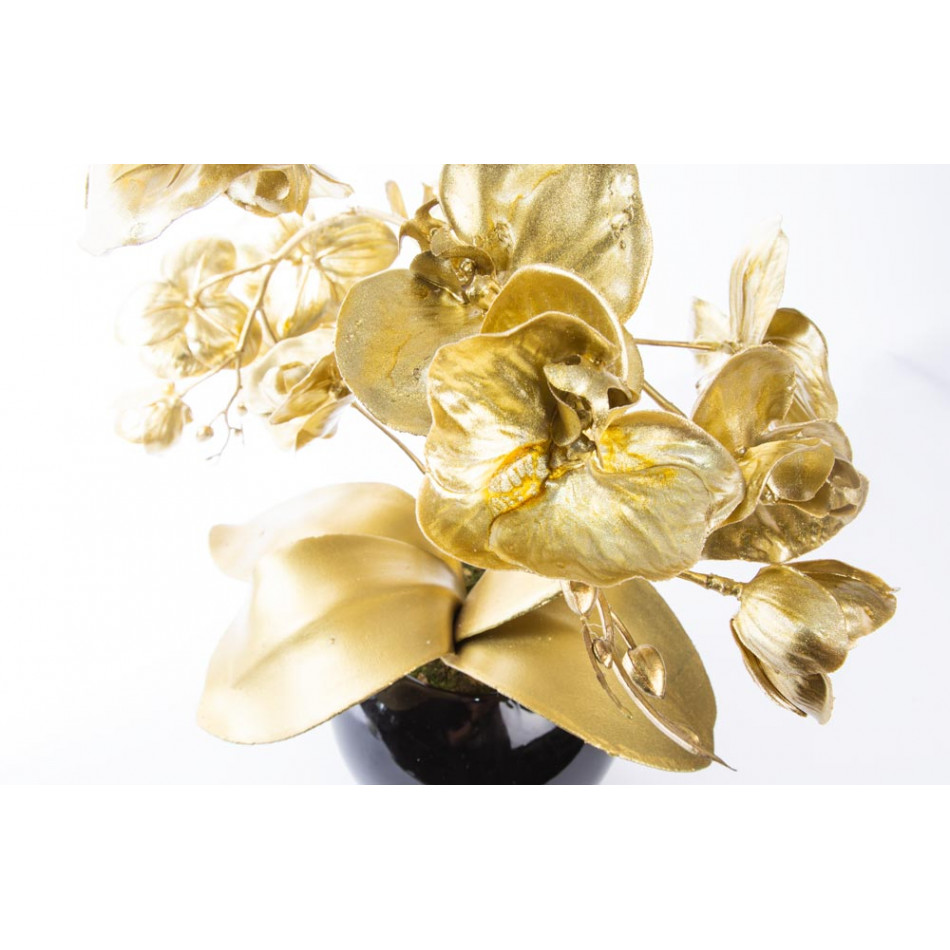 Orchid golden in black flowerpot, H44cm
