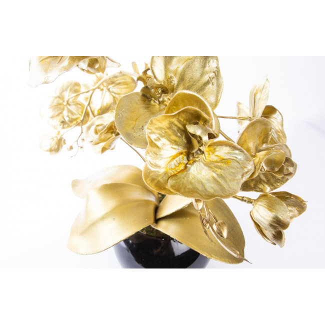 Orchid golden in black flowerpot, H44cm