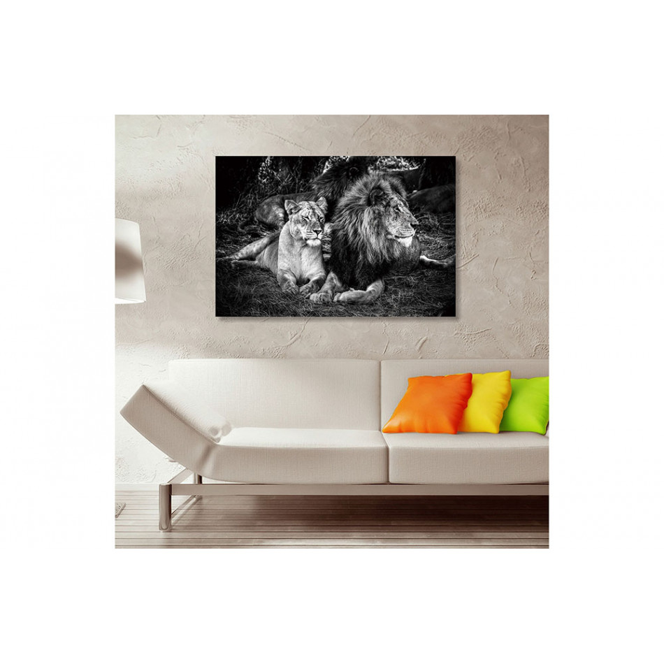 Wall Glass Art  Lion, 150x100cm