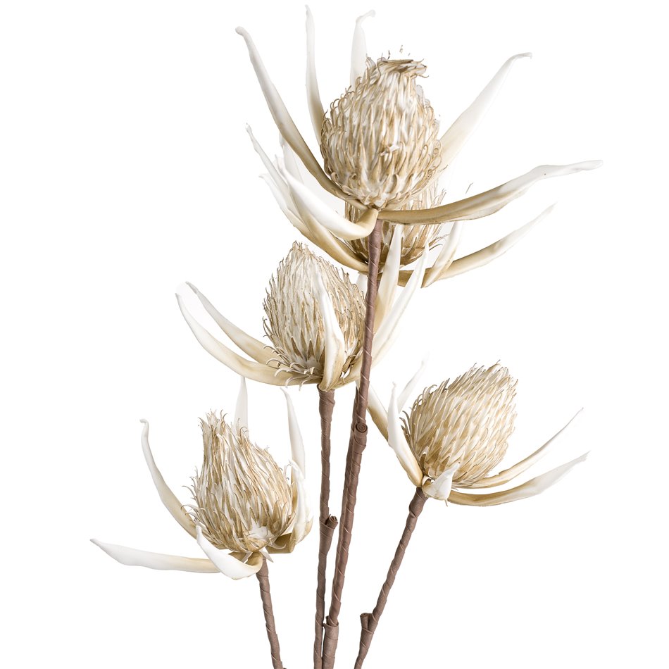 Branch Arenarija Cream, H105cm