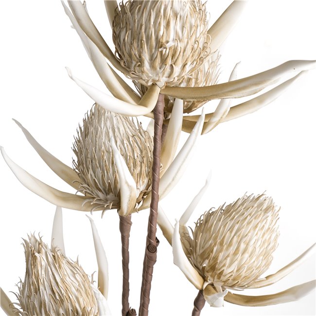 Branch Arenarija Cream, H105cm