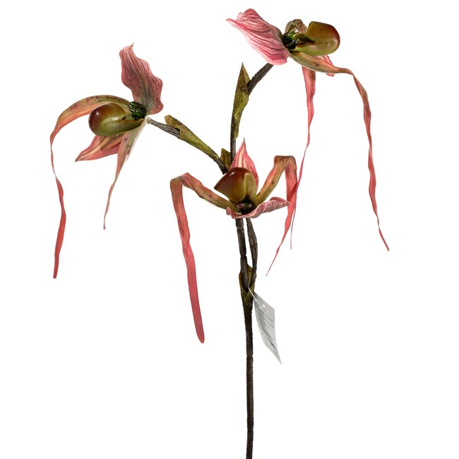 Декоративное растение Orhideja III, H78cm