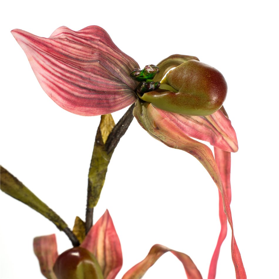 Декоративное растение Orhideja III, H78cm