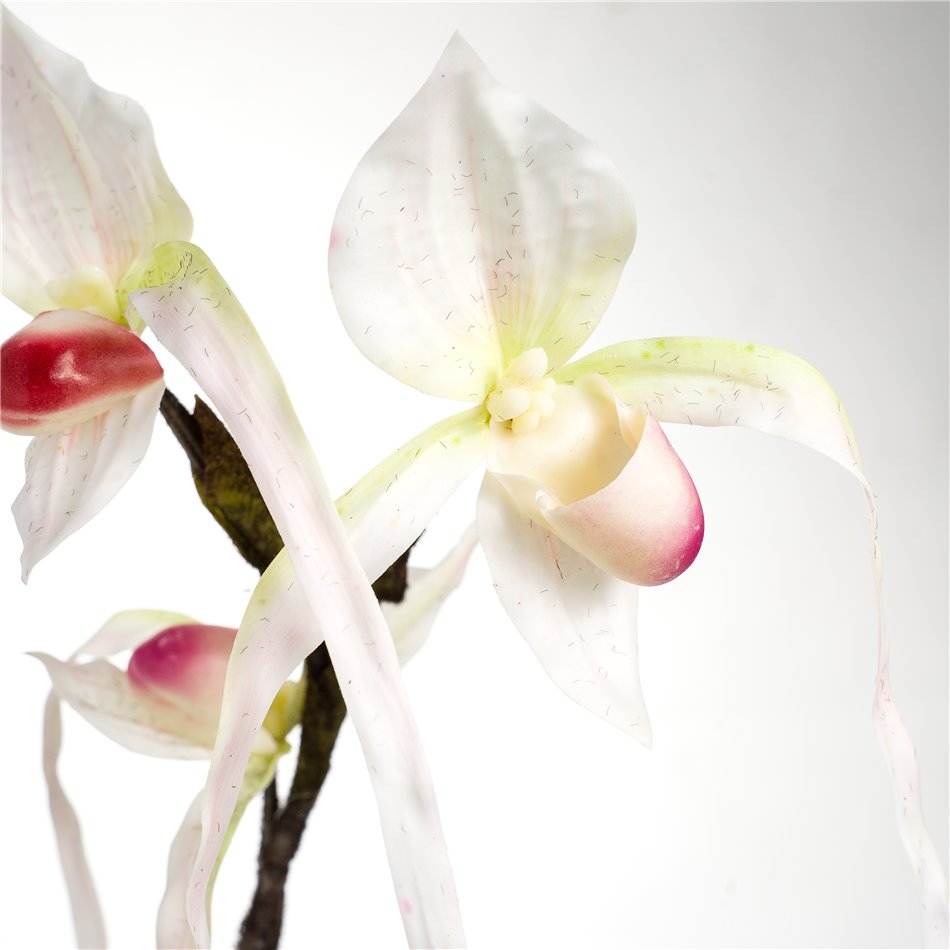 Декоративное растение Orhideja II, H78cm