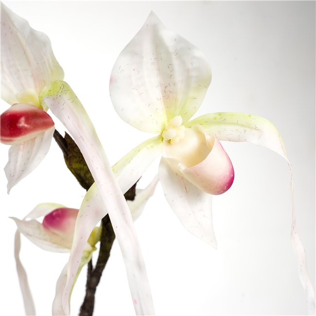 Декоративное растение Orhideja II, H78cm