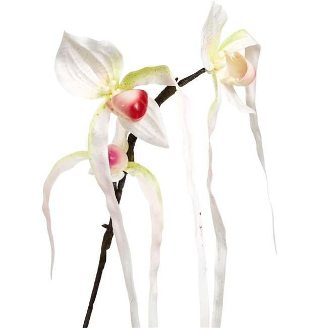 Декоративное растение Orhideja II, H78cm
