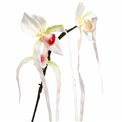 Декоративное растение Orhideja II, H78cm