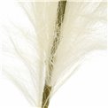 Dekoratyvinis augalas Malinija Cream, H110cm