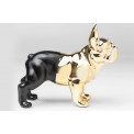 Money Box Bulldog, gold/black colour, 27.5x34x14.5cm