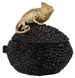 Decorative box Chameleon, 19.5x14x19cm