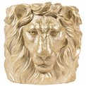 Decorative flower pot Lion, 24x22x20.5cm