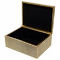 Box plasic Fulga golden L, H10x25x18.5cm