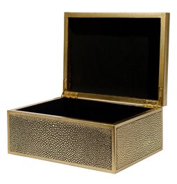 Box plasic Fulga golden M, H8.5x20x15cm