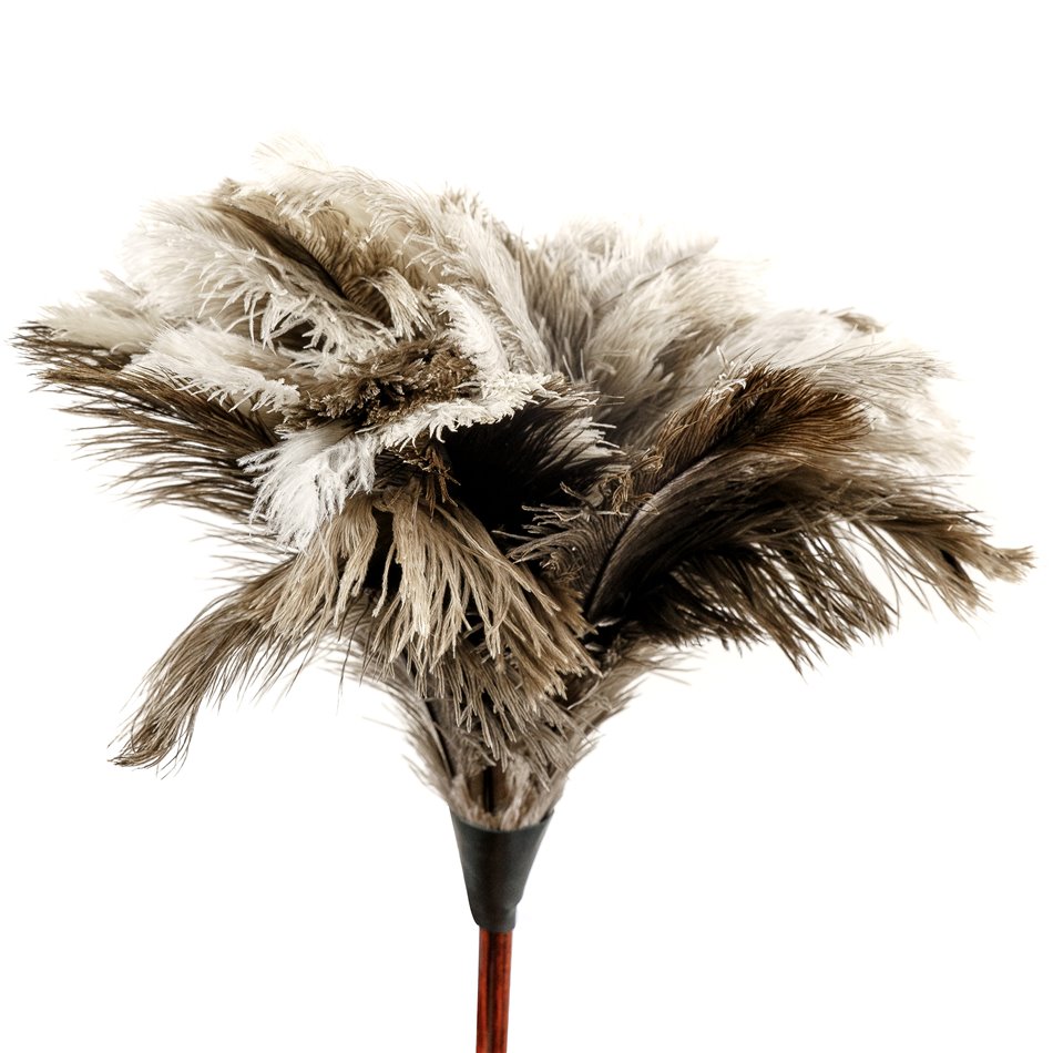 Ostrich Feather Duster with a dark handle, 90cm