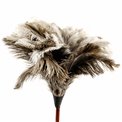Ostrich Feather Duster with a dark handle, 90cm