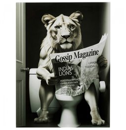 Стеклянная картина Bath Lioness, 60x80cm