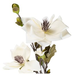 Decorative plant Helleborus A01, cream/green, 120cm