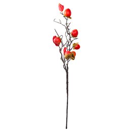 Decorative plant Chinese persimmon, orange/brown, H85cm
