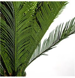 Dirbtinis augalas Palm, H180cm